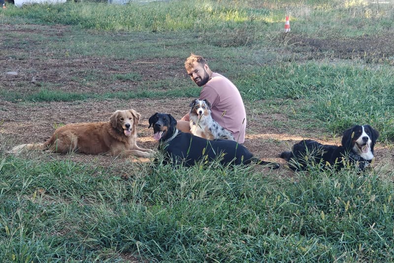 Maxime HARI, éducateur canin et comportementaliste diplômé, avec quatre chiens en position couchée sur son terrain d'entraînement à Versoix